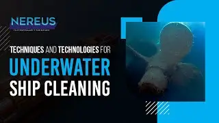 Underwater Ship Cleaning Services #ship#shipcleaning #marine #like #subscribe #nereussubsea