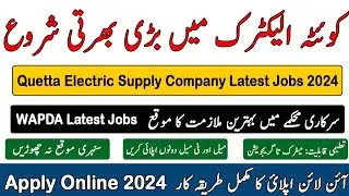 Quetta Electric Supply Company new Government job 2024 by Dija J talks