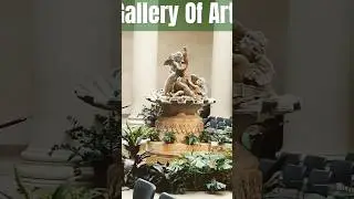 🖼️ DC Must See- National Gallery Of Art #ArtSculpture #CulturalExperience #MuseumVisit #Architecture