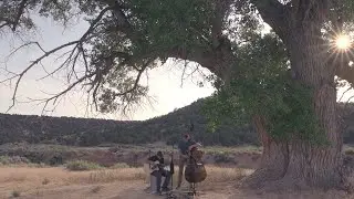 LIFE ON EARTH