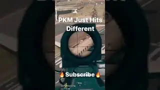 PKM New Meta?!