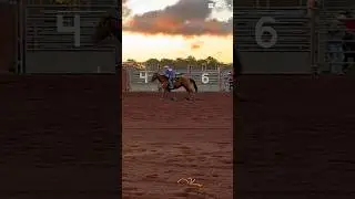goat tying! #fypviralシ #horse #equestrian #goat #goattying