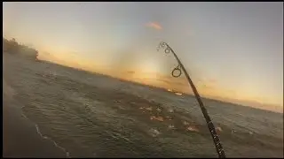 Absolutely INSANE Striper Feeding Frenzy. Rhode Island Fall Run