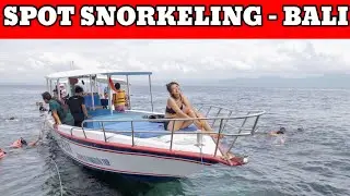 Snorkeling di Taman Laut Nusa Lembongan Bali