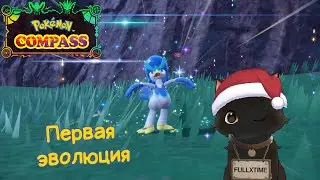 Pokemon Compass #2 Зарождение команды