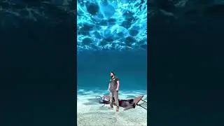 First time trying shark