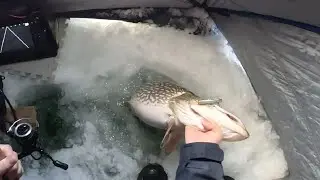 Рыбалка в день зимнего солнцестояния: личный рекорд по ловле рыбы!