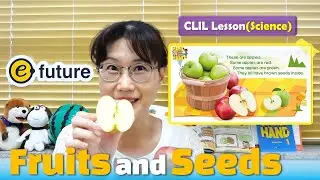 Hand in Hand CLIL Lesson(Science) - Fruits and Seeds
