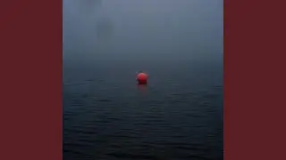 Foggy Feelings