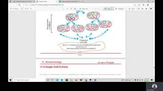 Grade 10Bio FBISE!!Important suggestion!!!