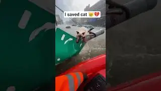 I saved cats 😿💔 #ghaffarbhai #cat #rescue #fyp #shorts #trending #animals #rescueteam