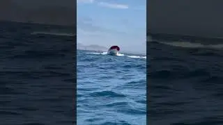 Panga Boat Hauling Ass In Baja California Sur, Mexico