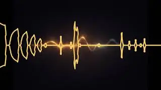 The Bite