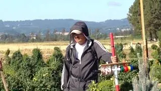 Gold Hill Nursery- Inventory Crew