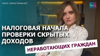 Налоговая инициировала проверки скрытых доходов неработающих граждан