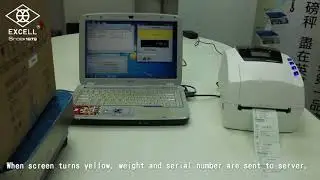 Scale-IoT Smart Weighing Data Collection System (Customized Version) &ndash; Operating Procedures