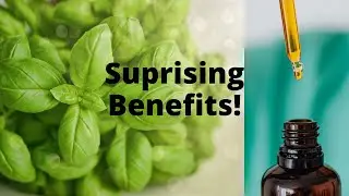 Health Benefits of Basil Essential Oil