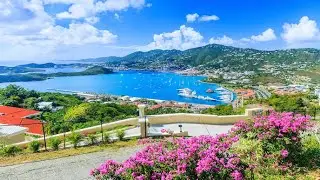 أجمل جولة مشي في سانت توماس: جنة جزر العذراء الأمريكية 🏝️🇻🇮
