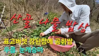 표고버섯강된장에 곰취쌈. 첫두릅. 눈개승마 나물로 차려진 산골 나물 밥상