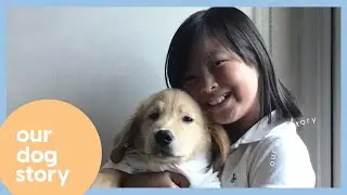 Our Dog Story | A Blessing Channel by ABC