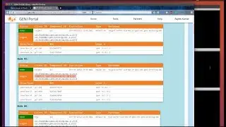 Open issues in router buffer sizing: running the experiment manually