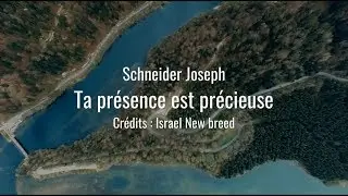 Ta présence est précieuse  - Schneider Joseph