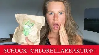 SCHOCK!!! MEINE ERFAHRUNG MIT SPIRULINA UND CHLORELLA