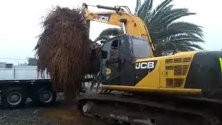 Excavadora jcb chile