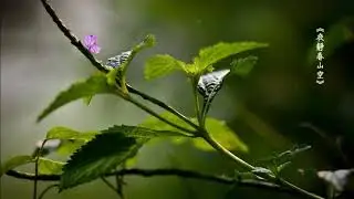《夜靜春山空 ☆ Still Spring Night》（全專輯）53'28