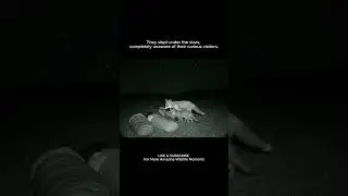 UNBELIEVABLE Night Vision: Fox Family Investigates Sleeping Campers!