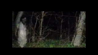 Annie's Road  The Ghost Of Annie