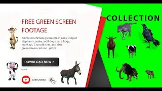 Green Screen  animal collection | overlay | Free Footage | FREE DOWNLOAD | VFX