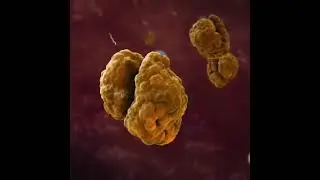 Defense mechanism of body || How body defenses the harmful material..