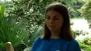 Voices of the JASON Project
