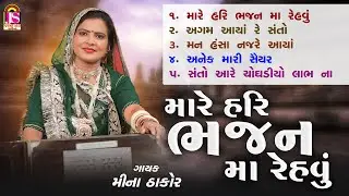 Mare Hari Bhajan Ma Rahevu | Meena Thakor | Jay Ambe Bhakti Sagar