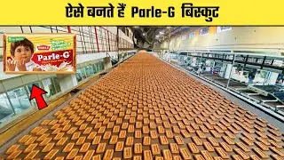 ऐसे बनाए जाते हैं Parle G बिस्कुट | Parle - G Biscuits manufacturing process | Amazing facts #shorts
