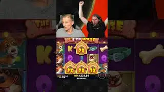 BIG WIN on Dog House BONUS! #shorts