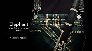 Elephant (from Carnival of the Animals) for bass clarinet and piano