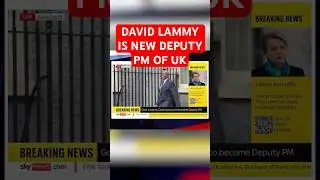 New UK Deputy Prime Minister David Lammy is slammed as dumbest MP ever after replacing Angela Rayner