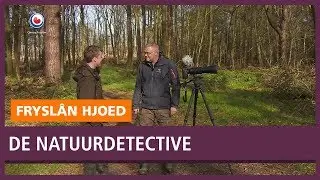 REPO: De Natuurdetective is op zoek naar de grote lijster