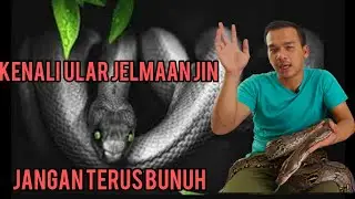 Kenali Ular Jelmaan Jin Dan Bila Waktu Ular Tidur?