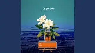 茉莉（Jasmine）