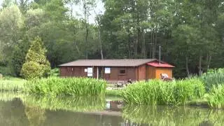 TANYARD COARSE FISHING, nr UCKFIELD, E. SUSSEX, ANGLERS MAIL TACTICAL BRIEFINGS