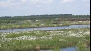 Mitfahrt Moorbahn/Torfbahn Himmelmoor 28.5.2016 (1)