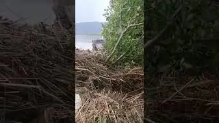 Rescue Operation in Pind Dadan Khan Flood in Jhelum | PDKhan | Punjab | Pakistan | 16/07/2025