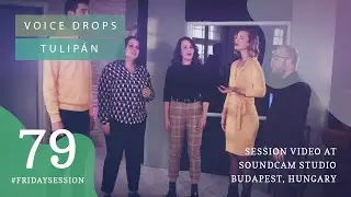 Voice Drops - Tulip&aacute;n