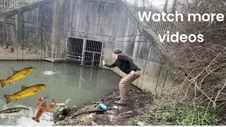 Uk fishing- fish trapping a uk stream (river/stream fishing)
