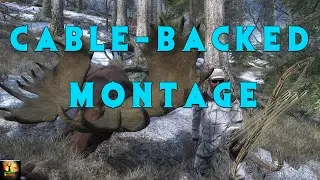 Cable-Backed Montage