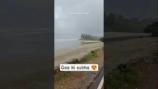 Mornings in Goa #goa2025 #goatourism #placestovisitinGoa #goabeach #GoaMarkets #instagoa #goacafes