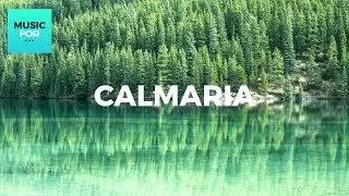 Calmaria - BELA MANH&Atilde; com Sons de P&aacute;ssaros - Relaxar e Meditar - AirDuo